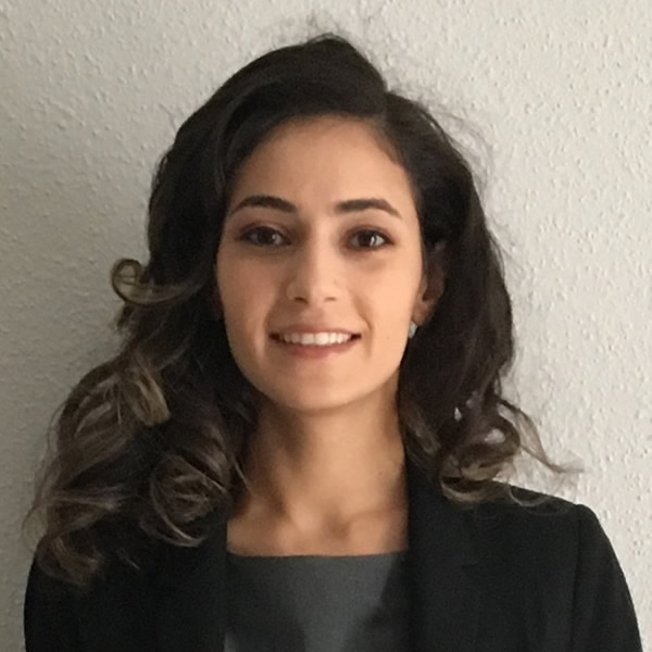 Arabic Speaking Lawyer in Houston Texas - Dina Ibrahim