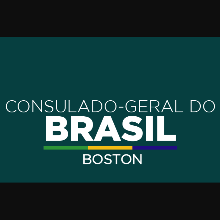 Brazilian Government Organizations in USA