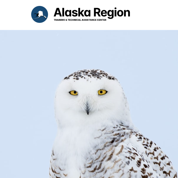 Native American Government Organizations in Alaska - Administration for Native Americans Alaska Region