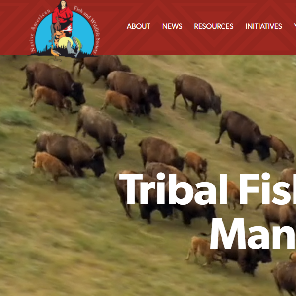 Native American Organization in USA - Native American Fish and Wildlife Society