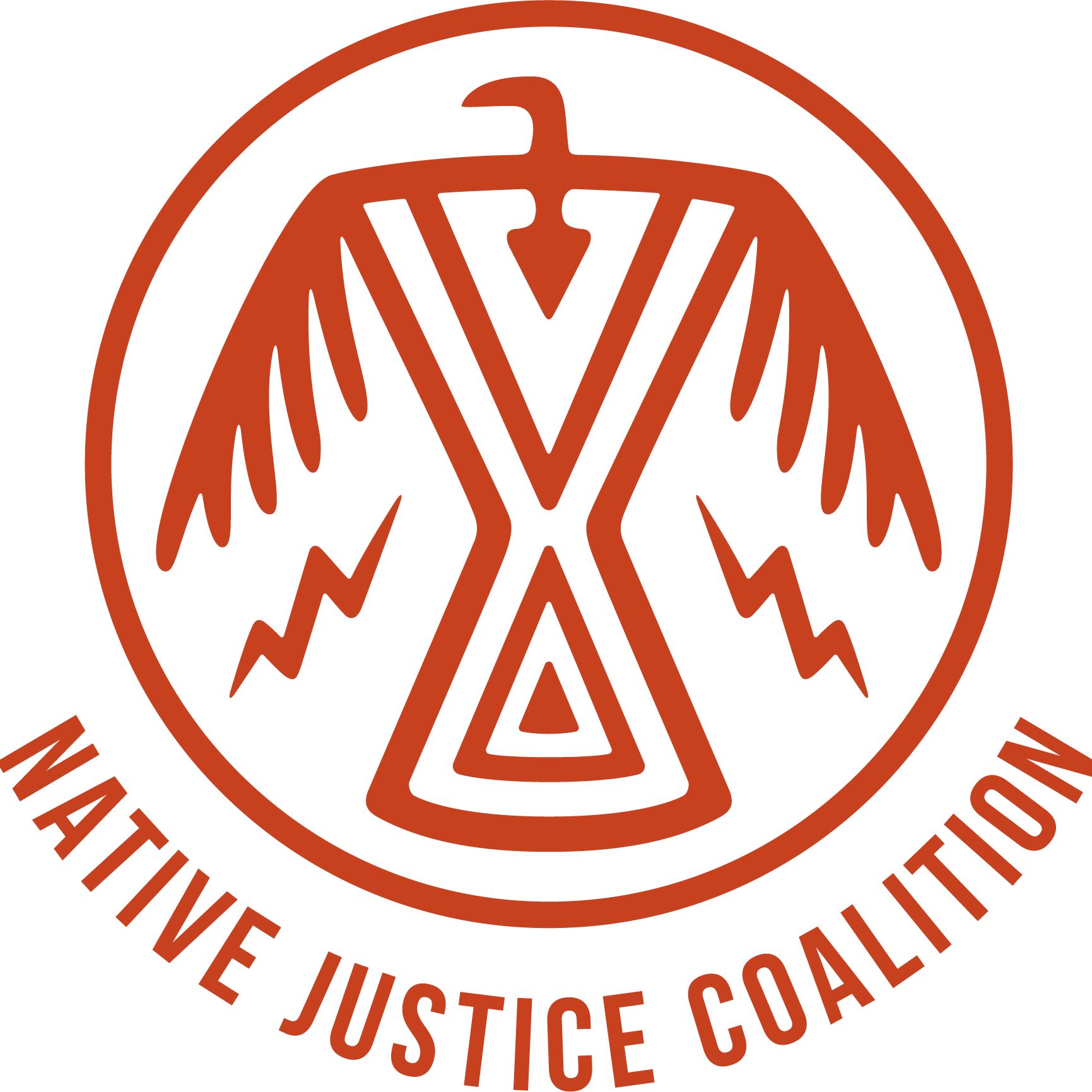 Native American Organizations in Michigan - Native Justice Coalition