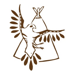 Native American Organizations in Toronto Ontario - Thunderbird Friendship Centre
