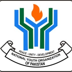 Pakistani Organizations in USA - National Youth Organization of Pakistan USA