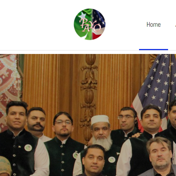 Pakistani Organizations Near Me - Pakistani American Youth Organization