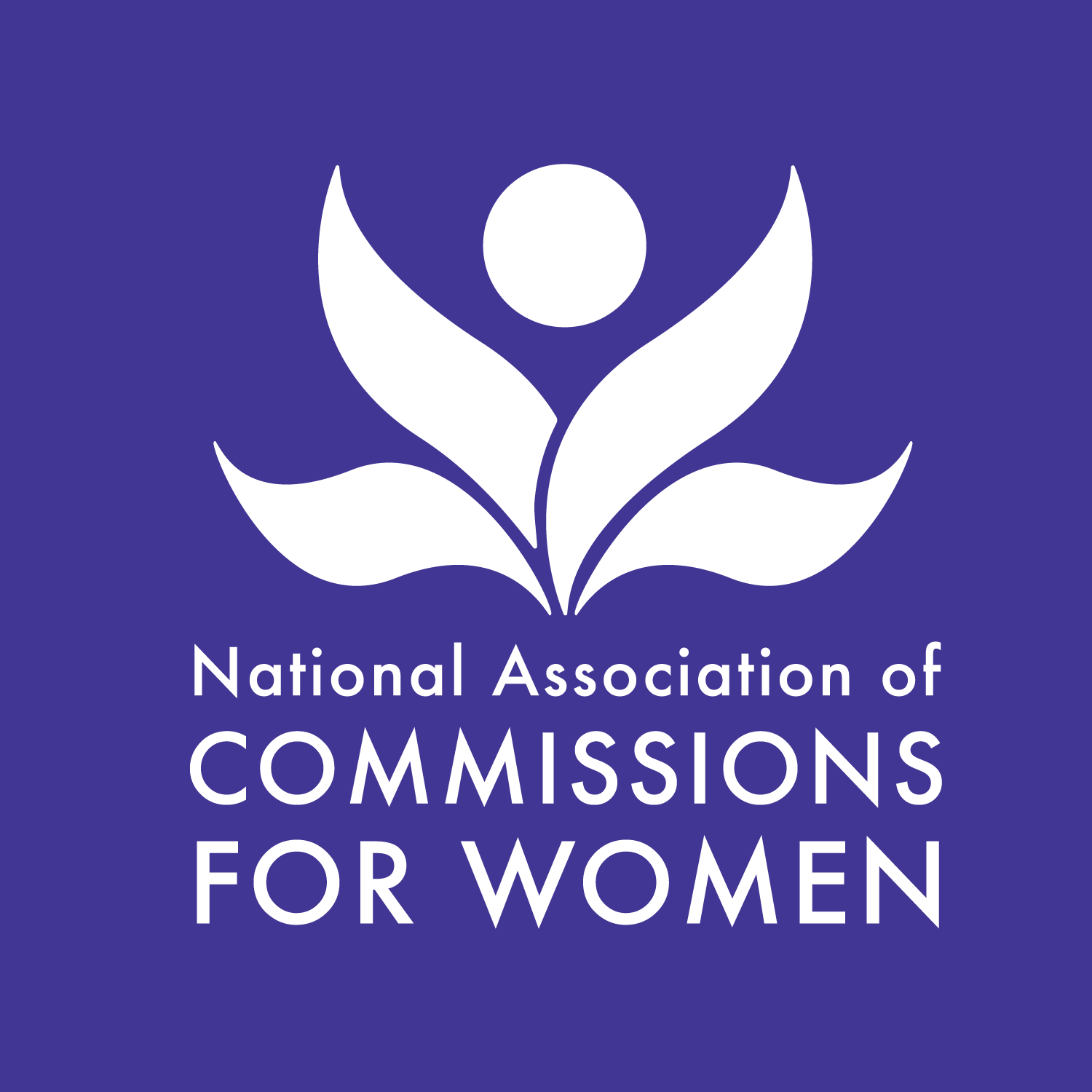 Woman Organization in New York New York - National Association of Commissions for Women